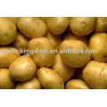 New Holland potato on sale now !